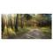 Designart - Road Through Green Pine Forest - Landscape Photography Canvas Print